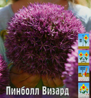 Лук декоративный Пинболл Визард