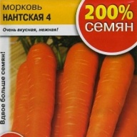 Морковь Нантская 4 "Русский Огород"