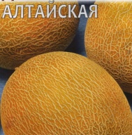 Дыня Алтайская "Гавриш"