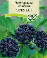 Элеутерококк  колючий Эскулап  "Гавриш"