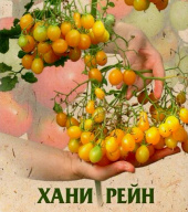 Томат Хани Рейн "Биотехника"