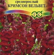 Львиный зев среднерослый Кримсон вельвет  "Гавриш"