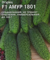 Огурец F1 Амур 1801 "Гавриш"
