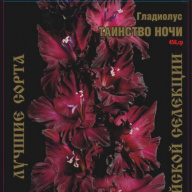 Гладиолус Таинство Ночи
