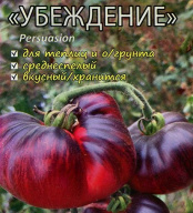 Томат Убеждение "Мязиной Л.А."