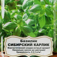 Базилик Сибирский карлик "Уральский дачник"