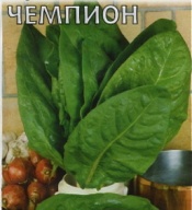 Щавель Чемпион "Гавриш"