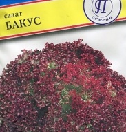 Салат Бакус "Престиж семена"