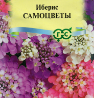 Иберис Самоцветы  "Гавриш"