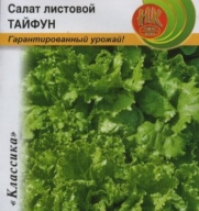 Салат листовой Тайфун "Русский Огород"