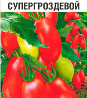 Томат Супергроздевой "Сибирский сад"
