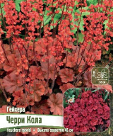 Гейхера Черри Кола