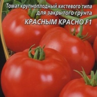 Томат крупноплодный Красным красно F1"Уральский дачник"