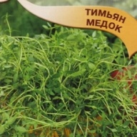 Тимьян Медок "Гавриш"