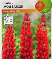 Люпин Мой замок  "Русский огород"