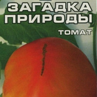 Томат Загадка природы "Сибирский сад"