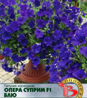 Петуния опера Суприм F1 Блю "Биотехника"