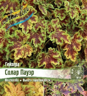 Гейхера Солар Пауэр