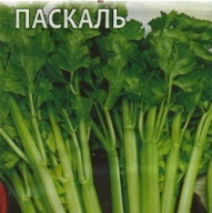 Сельдерей черешковый Паскаль "Гавриш"