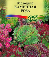 Молодило Каменная роза "Гавриш"