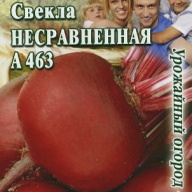 Свекла Несравненная  А 463 "Гавриш"