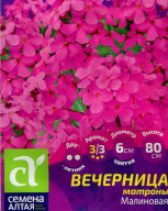 Вечерница малиновая Матроны "Семена Алтая"