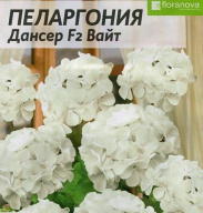Пеларгония Дансер F2 вайт "семена Алтая"