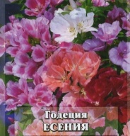 Годеция Есения "Гавриш"