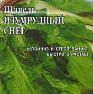 Щавель Изумрудный снег "Гавриш"