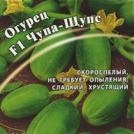 Огурец F1 Чупа - Щупс "Гавриш"
