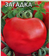 Томат Загадка "Гавриш"
