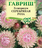 Гелихризум Серебряная роза "Гавриш"