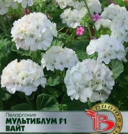 Пеларгония Мультибум F1 вайт "Биотехника"