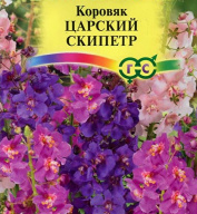 Коровяк Царский скипетр "Гавриш" 