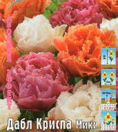 Тюльпан махровый + бахромчатый Дабл Криспа Микс 