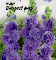 Мальва Вечерний флер "Гавриш"