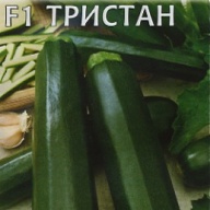 Кабачок F1 Тристан "Гавриш"