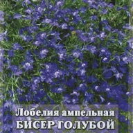 Лобелия апмельная Бисер голубой "Гавриш"