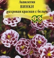 Аквилегия Винки махровая красная с белым "Гавриш"