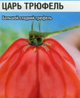 Томат Царь трюфель "Сибирский сад"
