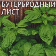Базилик Бутербродный лист "Гавриш"