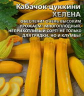 Кабачок - цуккини Хелена "Уральский дачник"