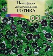Немофила менциса Готика "Гавриш"