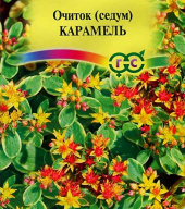 Очиток Карамель "Гавриш"