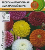 Георгина помпонная Махровый мяч  "Русский Огород"