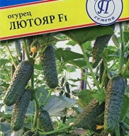 Огурец Лютояр F1 "Престиж семена"