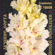 Гладиолус Я с тобой 