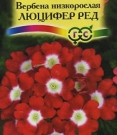 Вербена низкорослая Люцифер ред "Гавриш"
