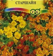 Бархатцы тонколистные Старшайн "Гавриш"