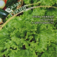 Салат Гейзер  "Гавриш"